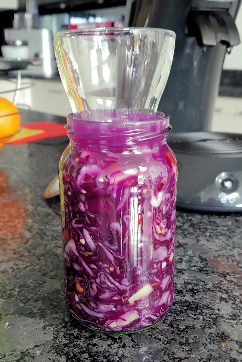 Fermented on sale red cabbage